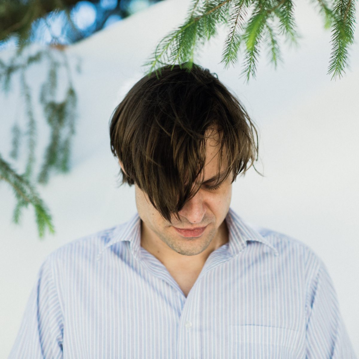 john Maus arbre