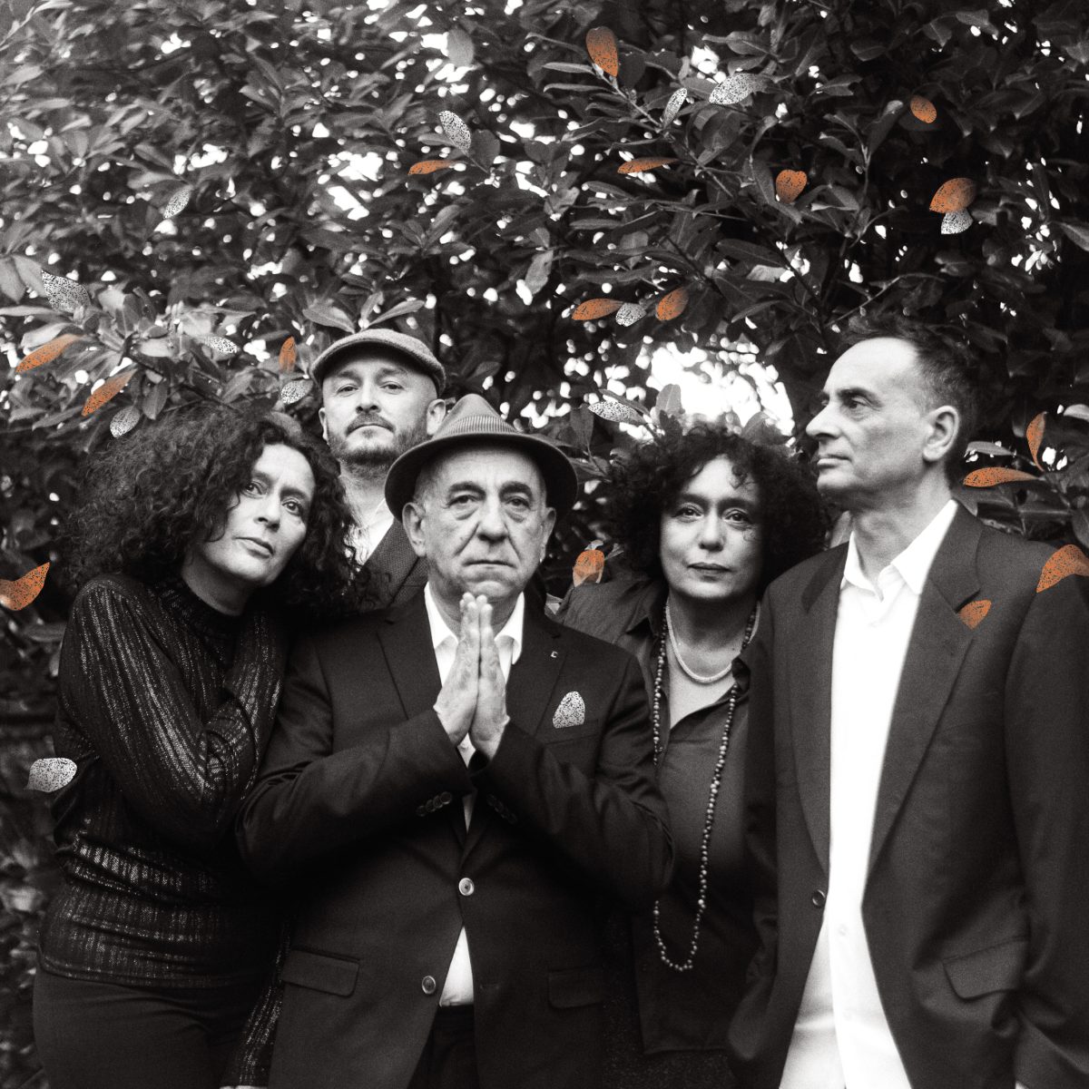 montage_photo_presse_lojo